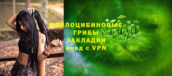 прущая мука Богданович